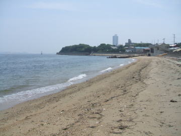 鳶ヶ崎海水浴場の写真2