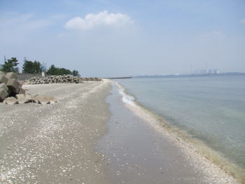 河和口海水浴場の写真1