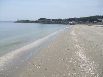 河和口海水浴場の写真2